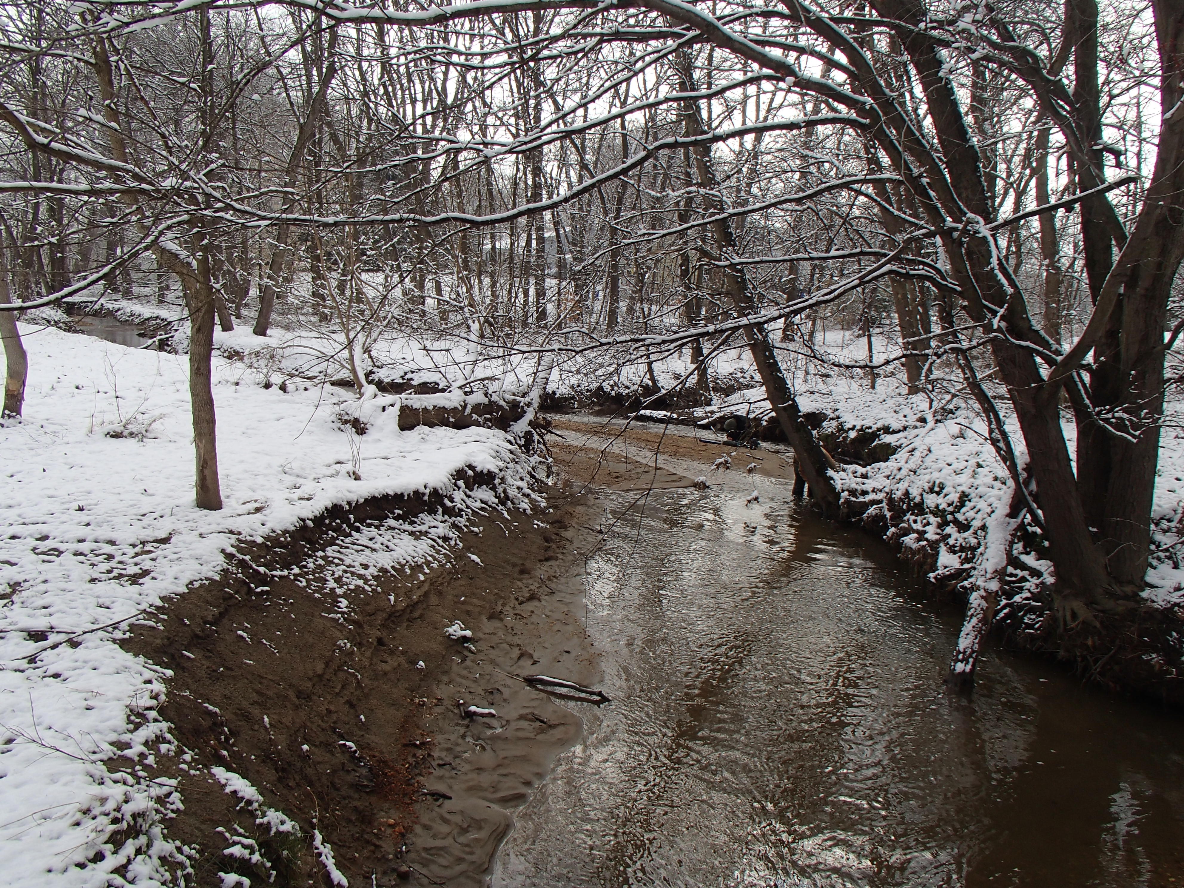Field photo showing stream conditions at site LPAX-290-X-2016_Midpoint looking upstream
